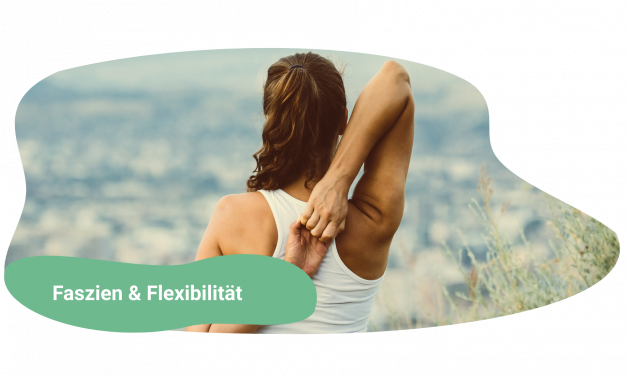 Faszien & Flexibilität: wie Mobility-Training gesunde Alterung unterstützt