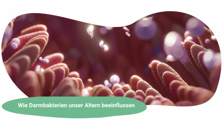 Langlebig durchs Mikrobiom: Wie Darmbakterien unser Altern beeinflussen