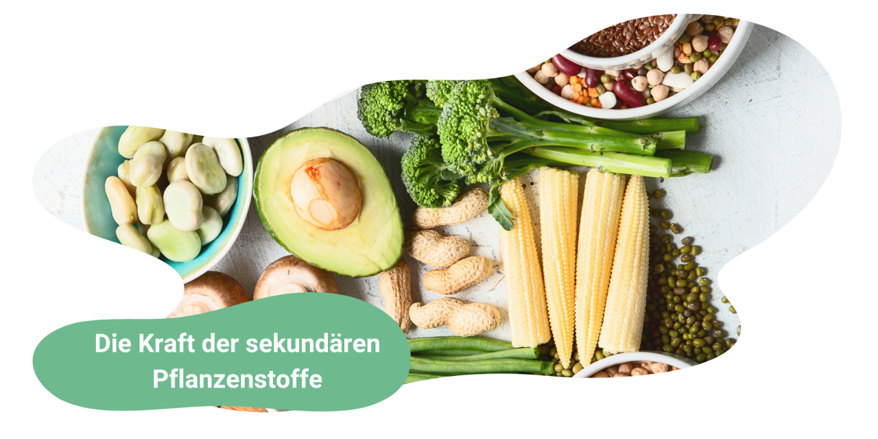 Sekundäre Pflanzenstoffe: Wie 3 Portionen polyphenolreicher Lebensmittel das Risiko für Altersgebrechlichkeit um bis zu 15 % senken können