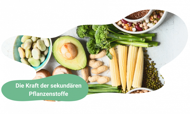 Sekundäre Pflanzenstoffe: Wie 3 Portionen polyphenolreicher Lebensmittel das Risiko für Altersgebrechlichkeit um bis zu 15 % senken können