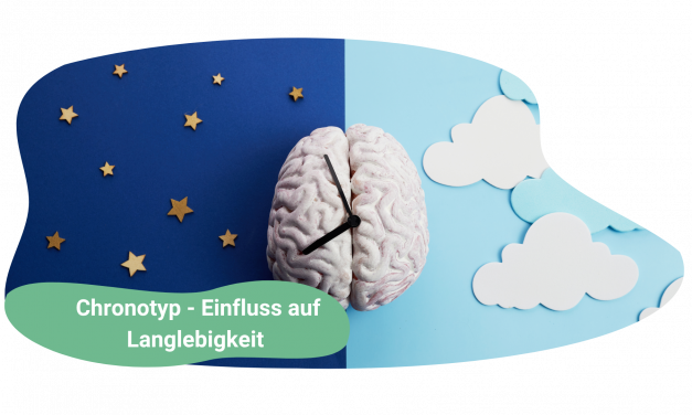 Chronobiologie und Gehirnleistung: Warum der richtige Tagesrhythmus deine Lebensspanne beeinflusst