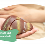 Leberzirrhose – Wie Du die Gesundheit Deiner Leber stärkst und Herausforderungen in den Griff bekommst