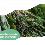 Kräuter und Wurzeln – Heilkraft für natürliche Leistungsfähigkeit