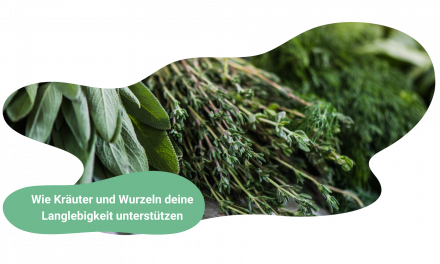 Kräuter und Wurzeln – Heilkraft für natürliche Leistungsfähigkeit