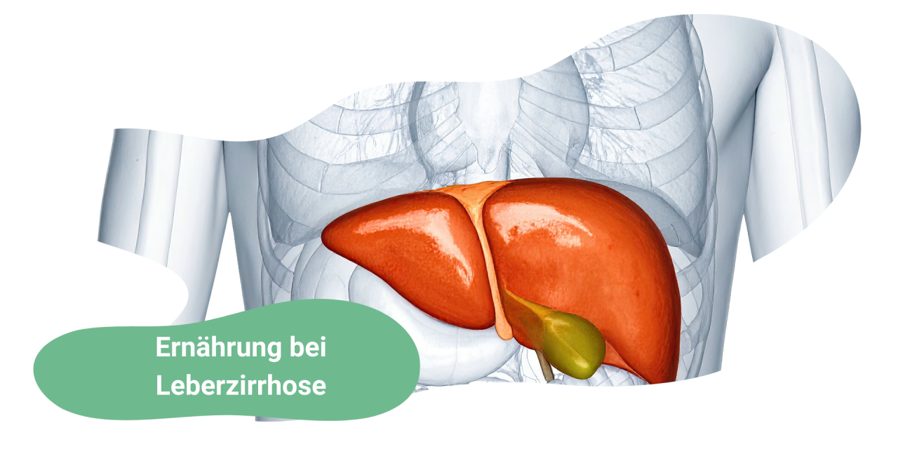 Ernährung bei Leberzirrhose: Wie Du trotz Diagnose gesund altern kannst – wissenschaftlich fundiert & alltagstauglich