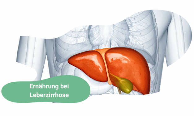 Ernährung bei Leberzirrhose: Wie Du trotz Diagnose gesund altern kannst – wissenschaftlich fundiert & alltagstauglich
