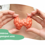 Schilddrüse und Longevity – ein oft unterschätzter Zusammenhang