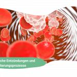 Longevity verstehen: Chronische Entzündungen und weitere beeinflussbare Faktoren