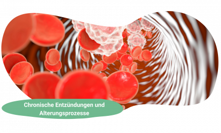 Longevity verstehen: Chronische Entzündungen und weitere beeinflussbare Faktoren